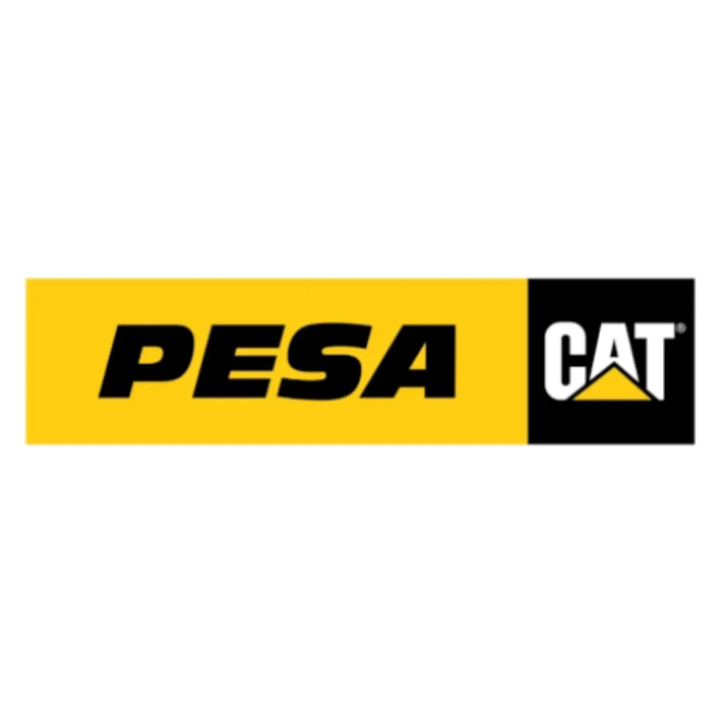 Logo Pesa Cat